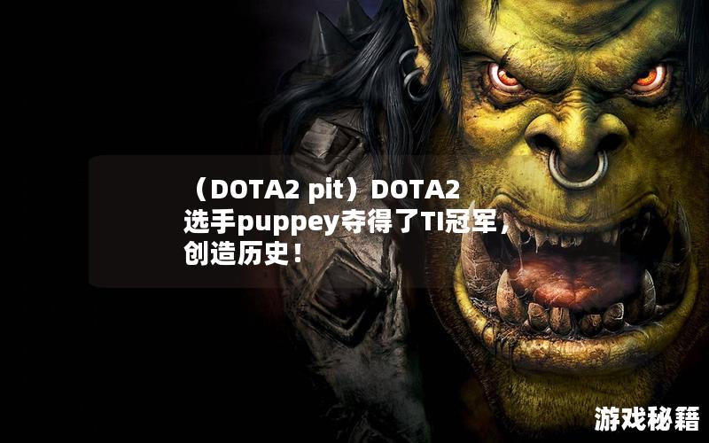 （DOTA2 pit）DOTA2选手puppey夺得了TI冠军，创造历史！