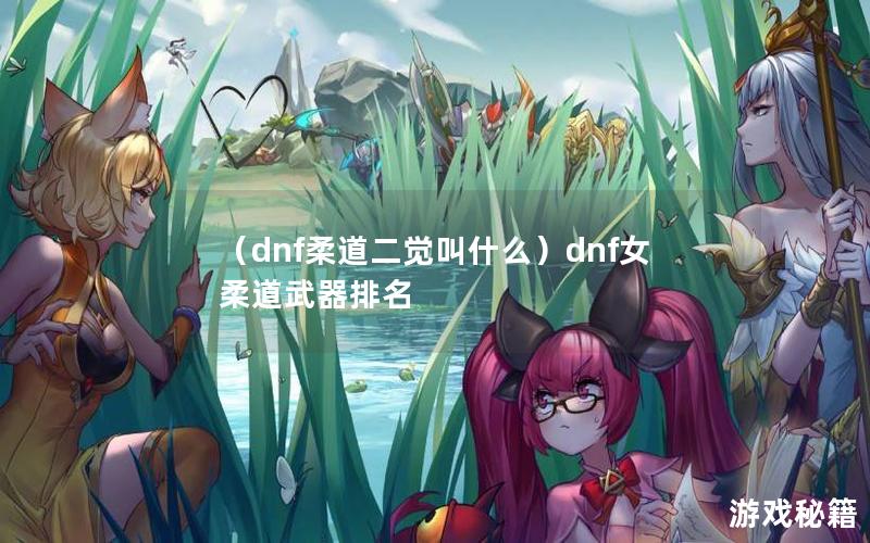 （dnf柔道二觉叫什么）dnf女柔道武器排名