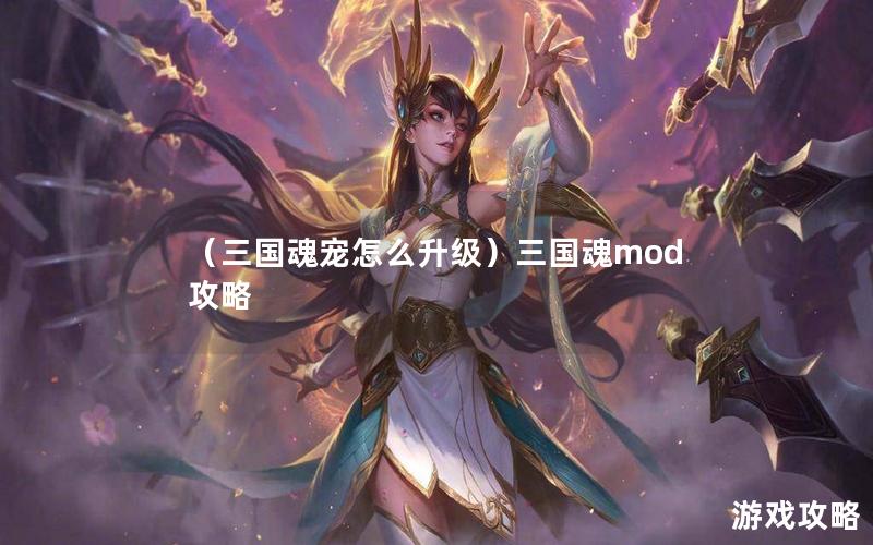 （三国魂宠怎么升级）三国魂mod攻略