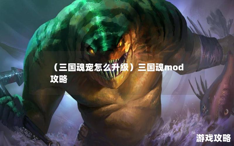 （三国魂宠怎么升级）三国魂mod攻略