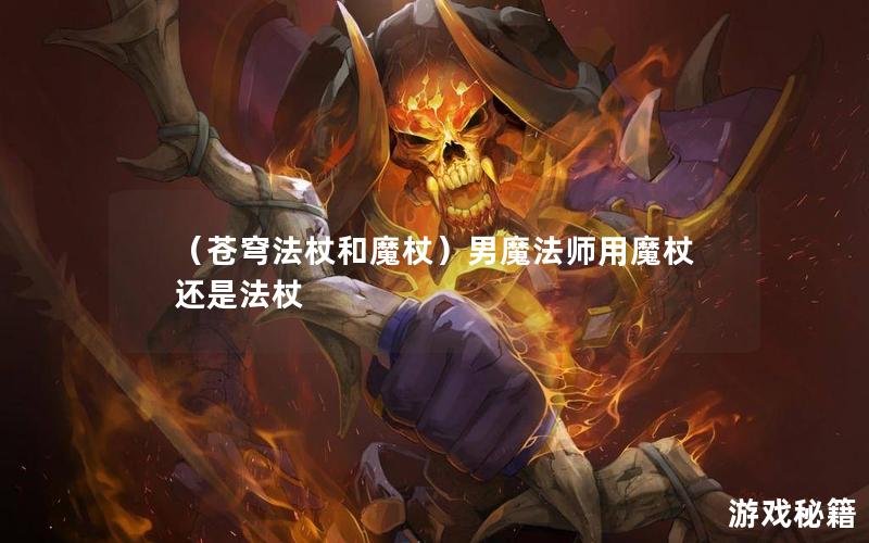 （苍穹法杖和魔杖）男魔法师用魔杖还是法杖